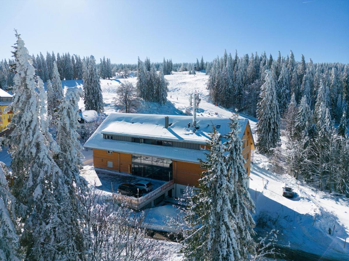 Wiesenquell Apartment Feldberg Фельдберг Экстерьер фото